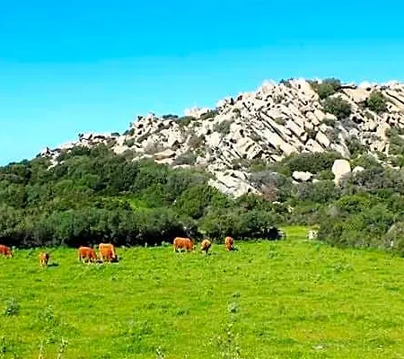Costa Serena Village Boschetto Hotel 3*